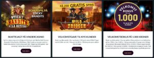 Vinder Casino Bonusser og Kampagner